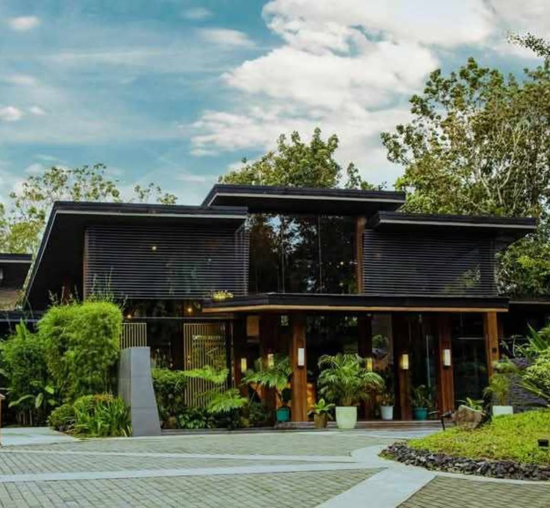 Dark timber-clad house with a landscaped courtyard
